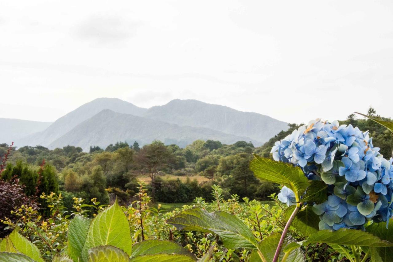 Mountain View B&B Lauragh Ngoại thất bức ảnh